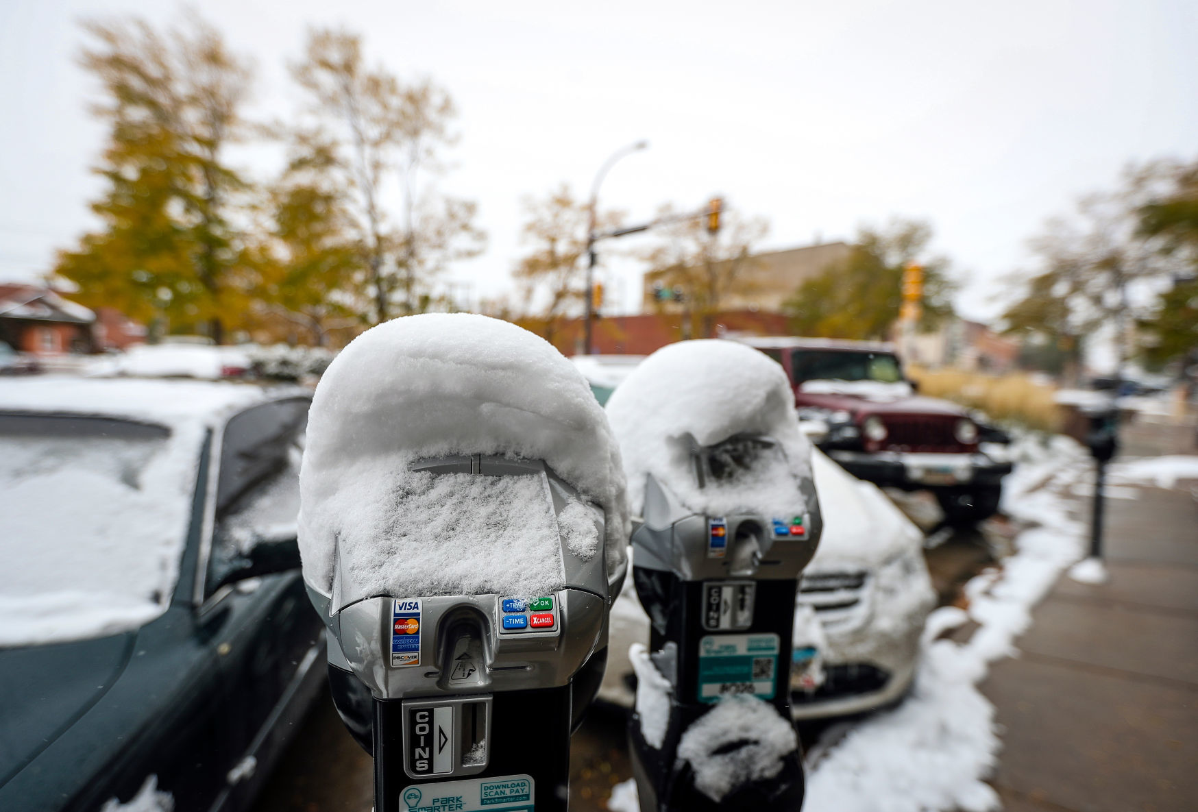 First Snowfall of the Winter